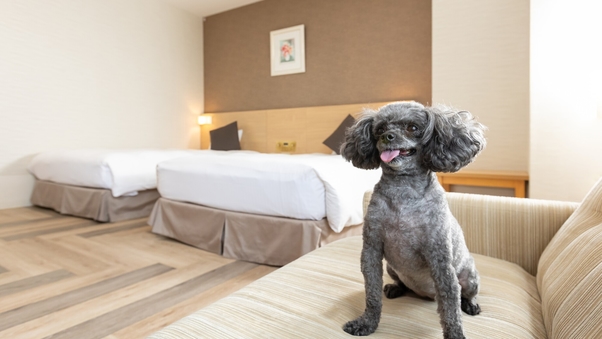 ペット対応ツイン(ソファーベッド付)【40平米】